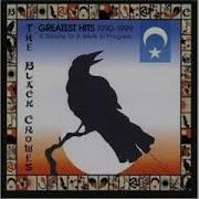 The Black Crowes Jealous Again