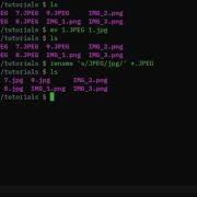 BASH Rename Multiple Files Linux Shell Tutorial