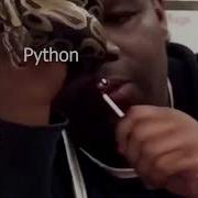 Python Meme