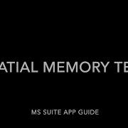Spatial Memory Test
