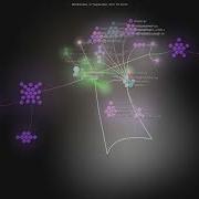 Mayflower Docker Ls Gource Visualisation