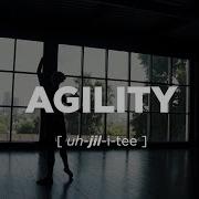 Our Values Agility