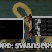 Swan Botnet Bot Scanner Routers Dlink Best Exploit For Botnet 6k Bots