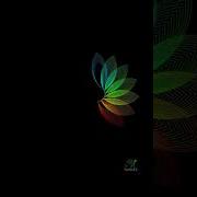 Colorful Spiral Flower Pattern With Python Turtle TurtleFX Shorts Python Creativecoding