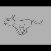 Cat Run Cycle Test