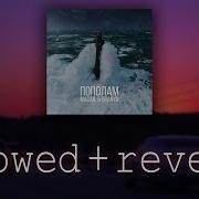 BRANYA MACAN Пополам Slowed Reverb