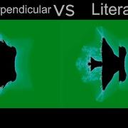 Celtic Perpendicular Power Morph Vs Literal CP Power Morph
