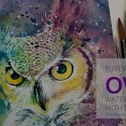 Tutorial Video 96 OWL Time Lapse