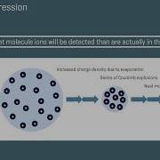 The Matrix Effect Episode 1 Best Practices In LC MS