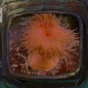 Nick On Screen Bug Error June 23 2020