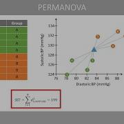 PERMANOVA And Permutation Tests Explained