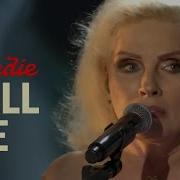 CALL ME BLONDIE Live Performance