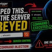 I Executed Commands On The Server PortSwigger OS Command Execution Lab