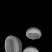 Jellyfish Animation Maya