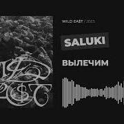 SALUKI ВЫЛЕЧИМ