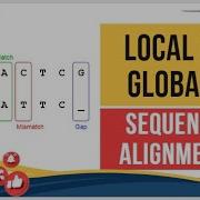 Global Vs Local Alignment Pair Wise Sequence Alignment Bioibformatics