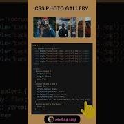 Try This Amazing CSS Photo Gallery With Hover Effect With HTML CSS Shorts Coding Trending Yt