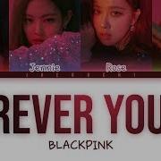 BLACKPINK Forever Young Color Coded Lyrics