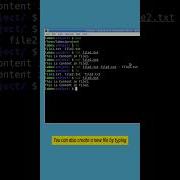 Practice Linux Commands 06 Cat Commandline Linux Linuxcommands Linuxtutorial