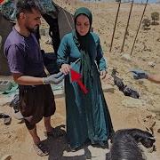 Imran AndFereshteh Snomadic Life Trying To Save Asickgoatand Accompanyingchildren Incleaningupnature