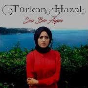 Sen Bir Aysın