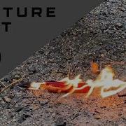 Microtech Combat Troodon Torture Test