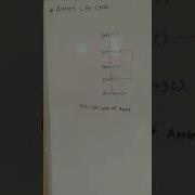Applet Life Cycle