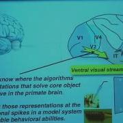 Mechanisms Underlying Visual Object Recognition Humans Vs Neurons Vs Machines
