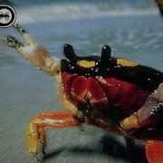 The Prodigy Smack My Bitch Up Extended