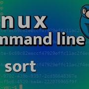 LCL 32 сортировка руководство по командной строке Linux для криминалистики
