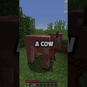 What If You Shear A Pig In Minecraft