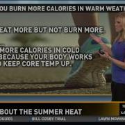 Top 5 Myths About Heat