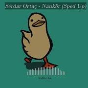 Serdar Ortaç Nankör Sped Up