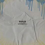 Madlib Falling Instrumental
