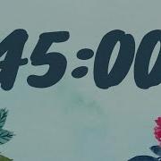 45 Minute Spring Timer With Music And Alarm