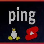 Linux Commands Ping