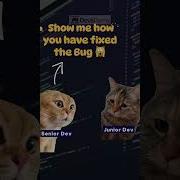 Senior Dev VS Junior Dev Meme Programmingmemes Shorts Programming Short Ytshort Trending