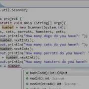 Java Programming Integers 7