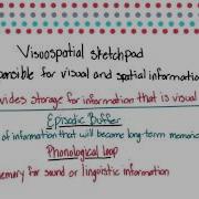 Visuospatial Sketchpad Intro To Psychology