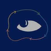 How Does The Brain Control Eye Movements