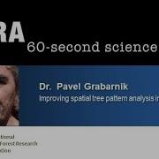 60 Second Science With Dr Pavel Grabarnik Improving Spatial Tree Pattern Analysis In Forestry
