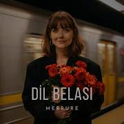 Dil Belası