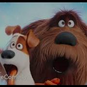 Aussie Secret Life Of Pets