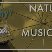Nature Of Music Part 6 Why A440