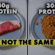 Protein Is Not Protein Here S Why