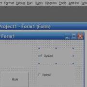 Option Buttons Series 2 Lesson 4