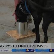 Police K 9 S Take Explosive Detection Test At IMS