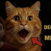 MeowTalk Review 2025 AI Cat Translator Tested Does It Actually Work Cat Science Ai