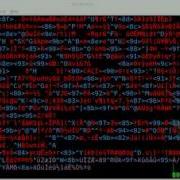 Self Extracting Shell Script Part 1 BASH LINUX