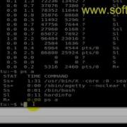 How To Kill Process In Bash